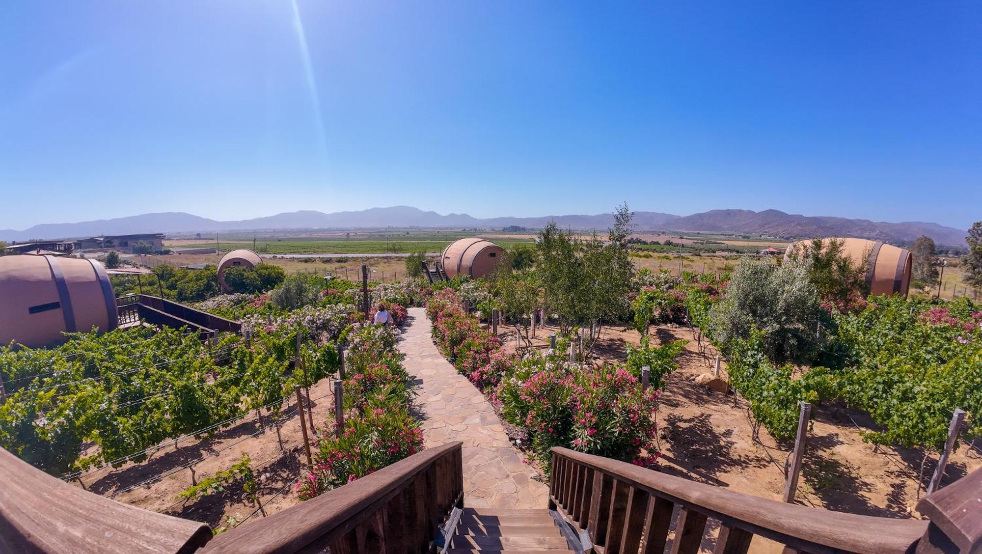 Finca El Mirador บาเย เด กัวลาลูเป ภายนอก รูปภาพ